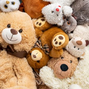 Teddy Bear